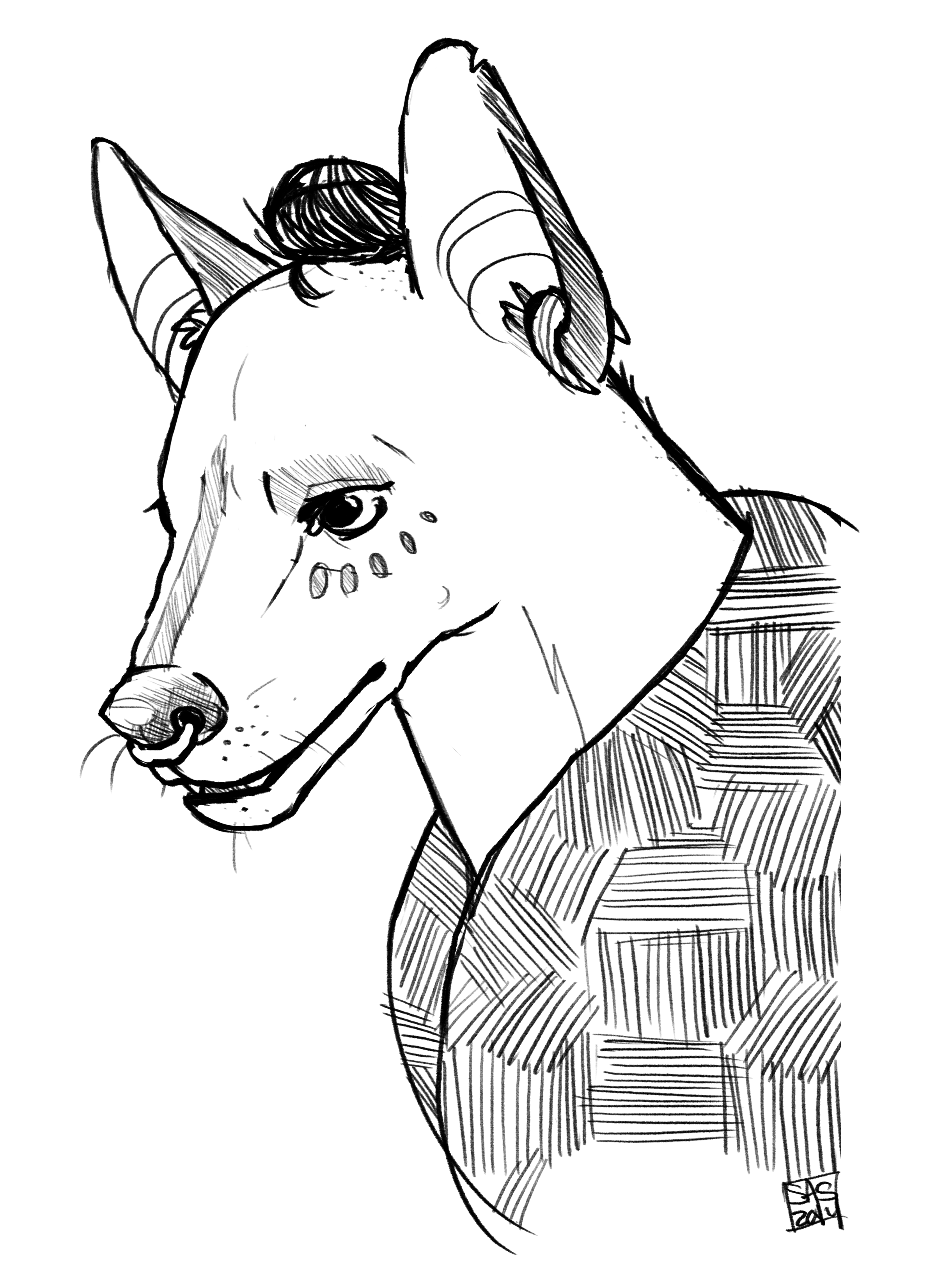 manedwolfdoodle.png