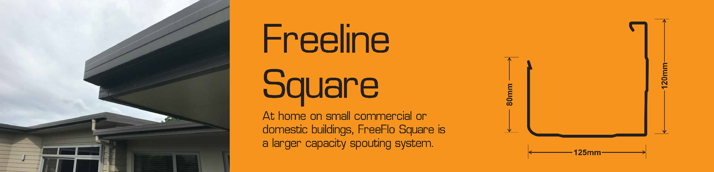 Freeline-Square.jpg