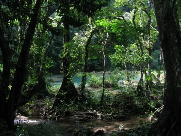 semuc champy.jpg