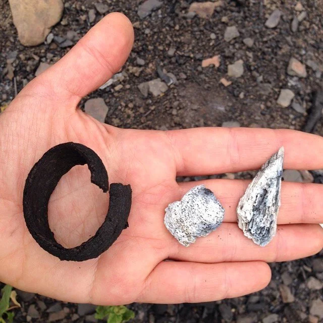 elements in hand.jpg