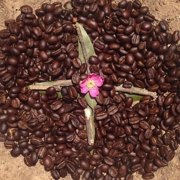 coffee+mandala.jpg