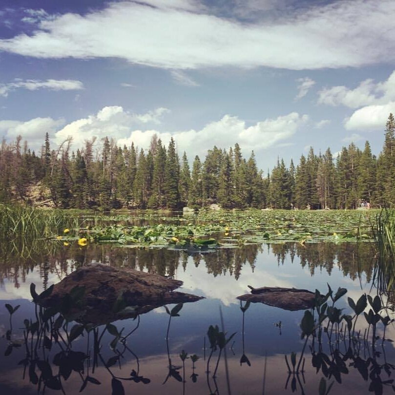 colorado.jpg