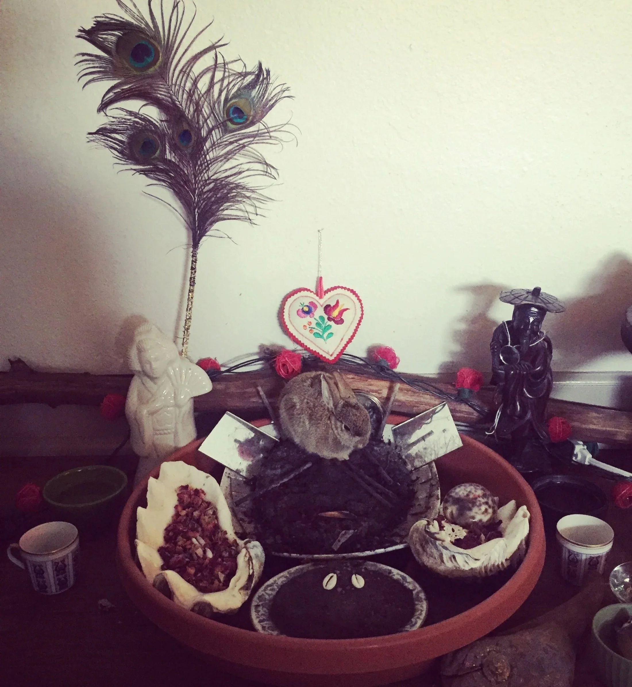 Ancestral shrine for healing with offerings of peacock feathers, carved shell, candles, a heart-shaped embroidered item, and various small objects on a table.