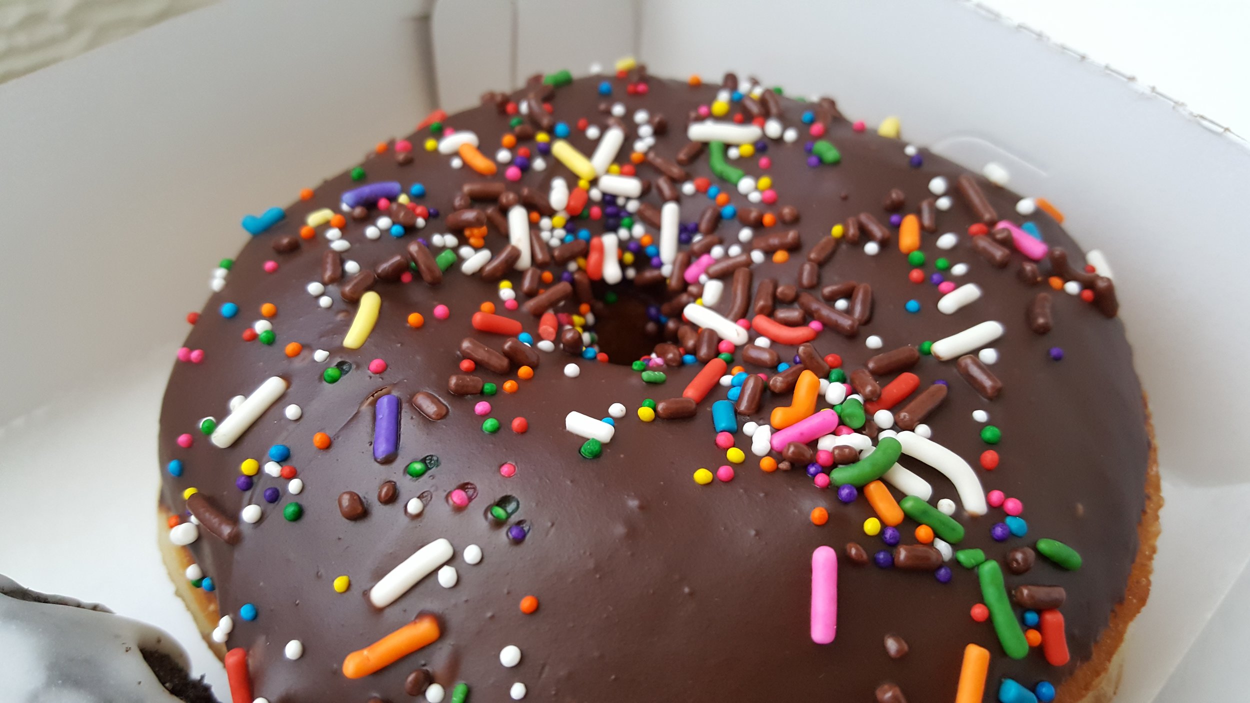 Chocolate sprinkle donut