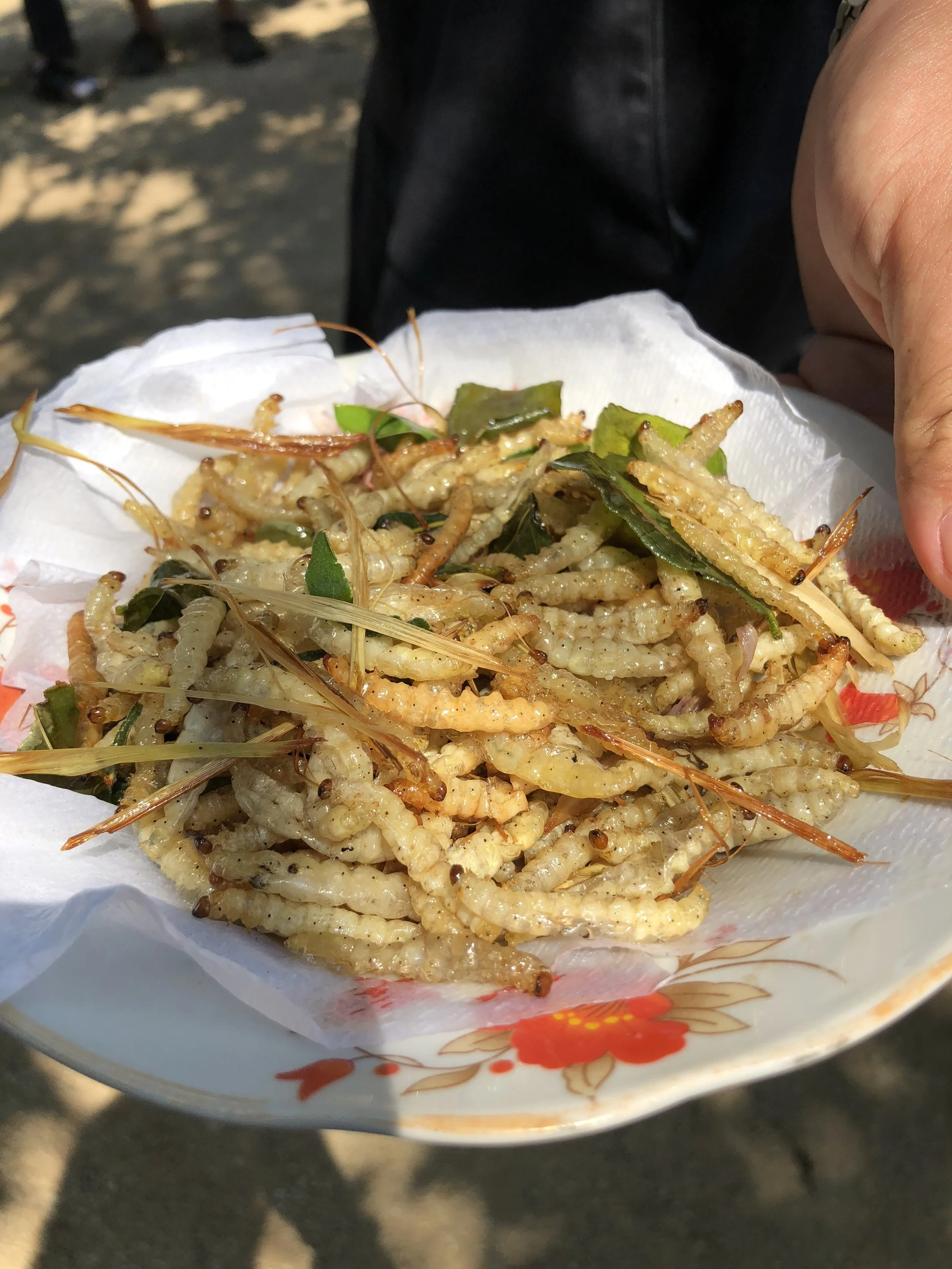 Bamboo worms