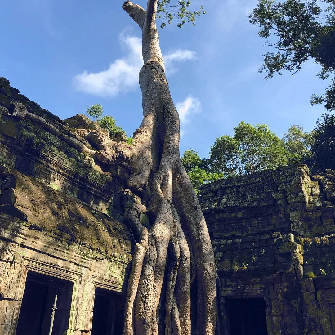 Ta Prohm