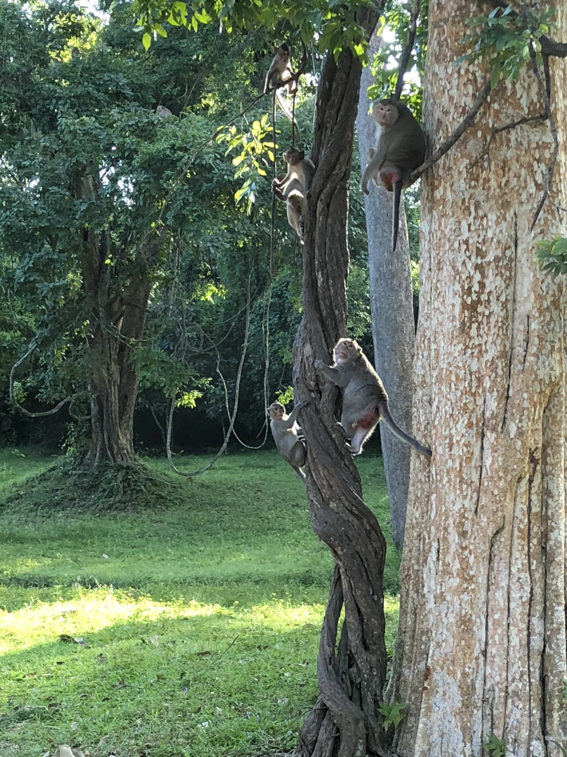 Photo Oct 14, 5 33 35 AM (1).jpg