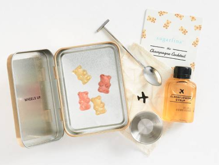 Carry On Champagne Cocktail Kit ($24.95)