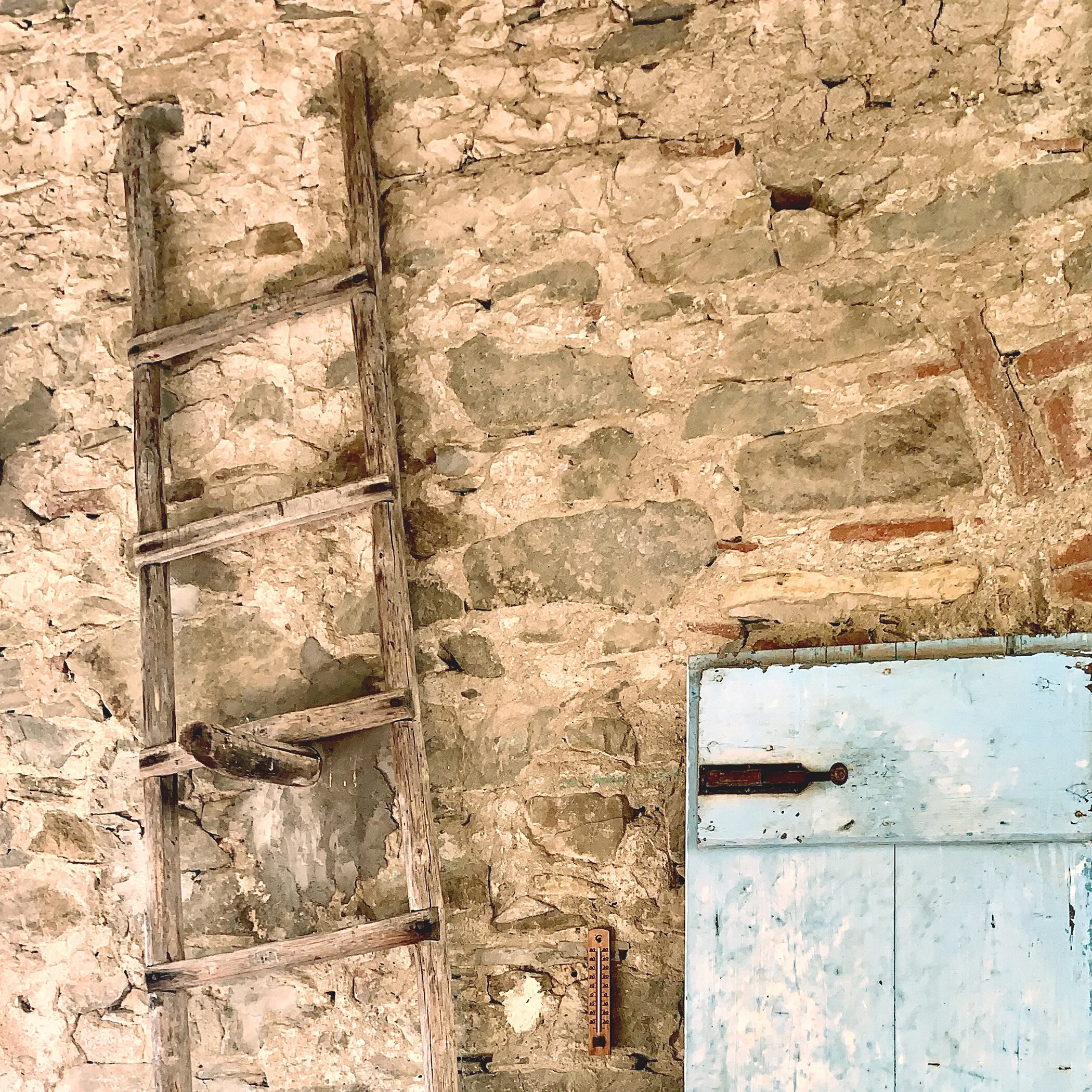 04 Ladder and Door.jpg