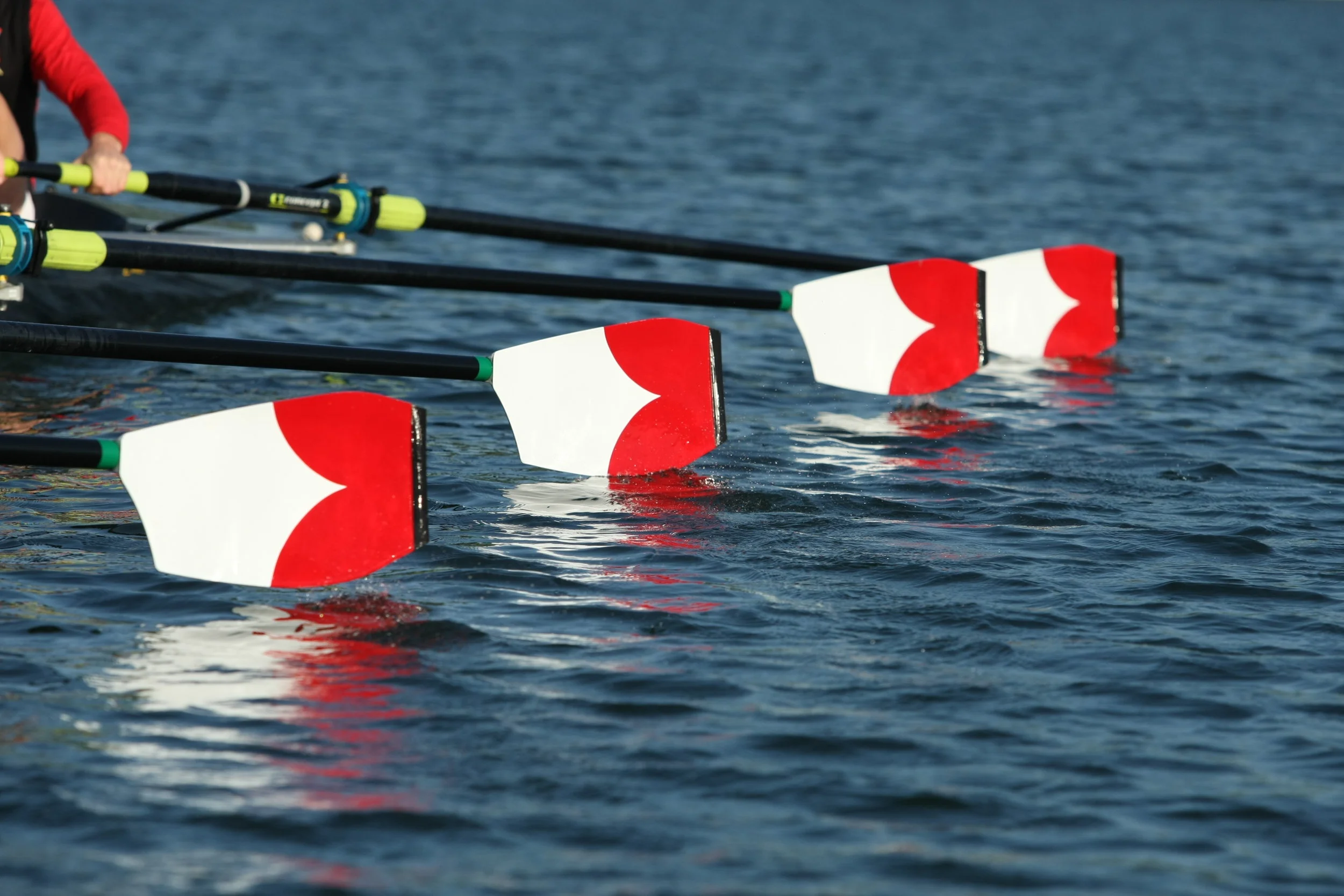 Cornell Rowing Logo