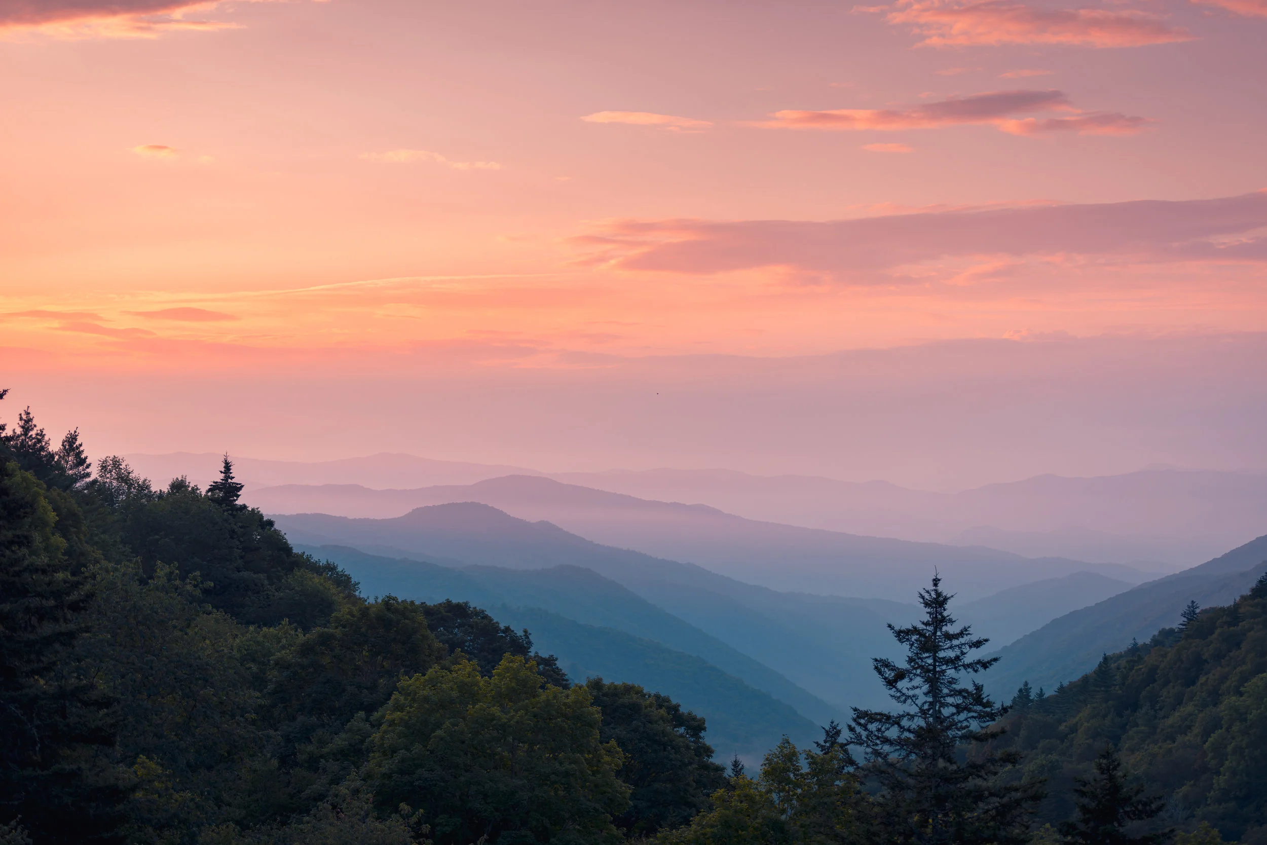 SUNRISE // CLINGMAN'S DOME / NORTH CAROLINA