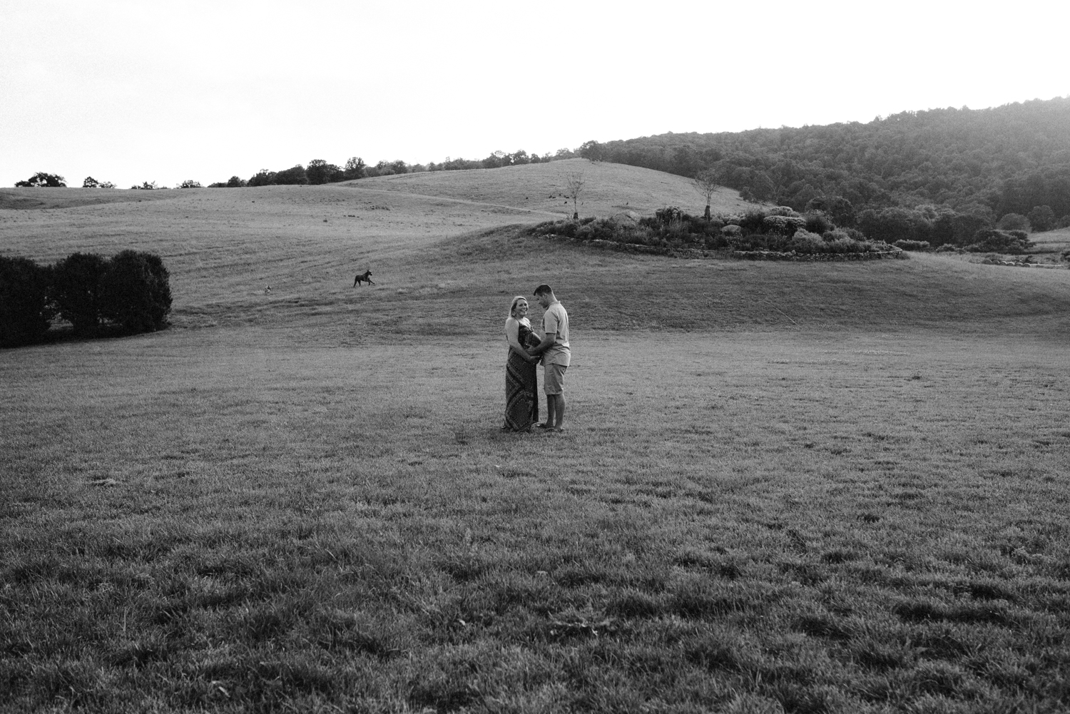 Virginia Maternity Session