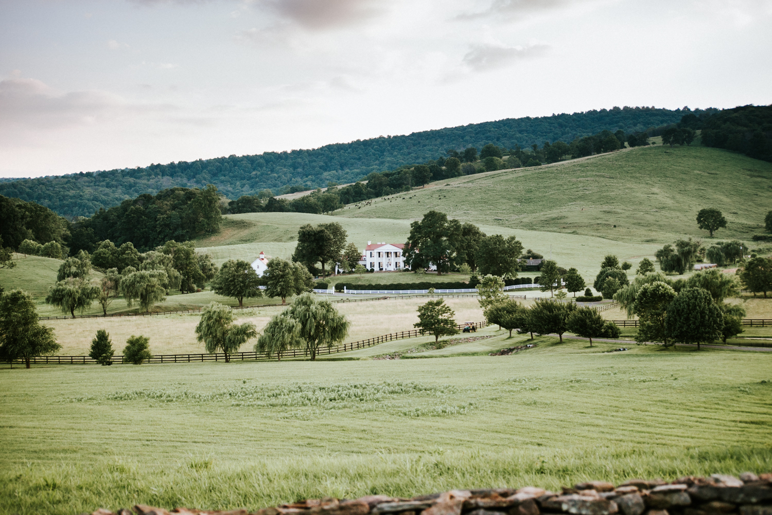 Virginia Maternity Session