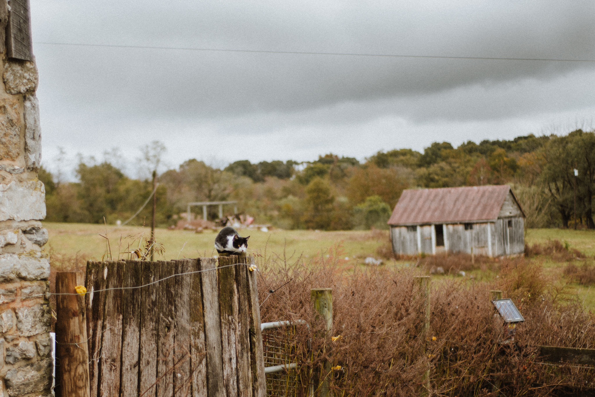 ApkePhotography_Tricia+Mike_WestVirginiaWedding_Farm_7.jpg