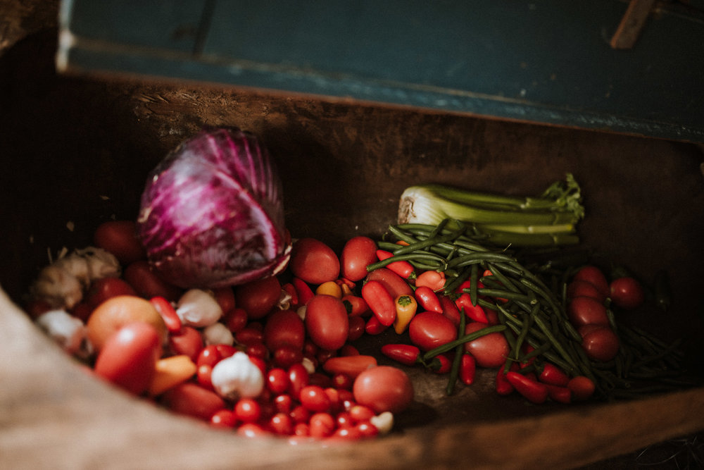 ApkePhotography_Tricia+Mike_WestVirginiaWedding_Farm_13.jpg