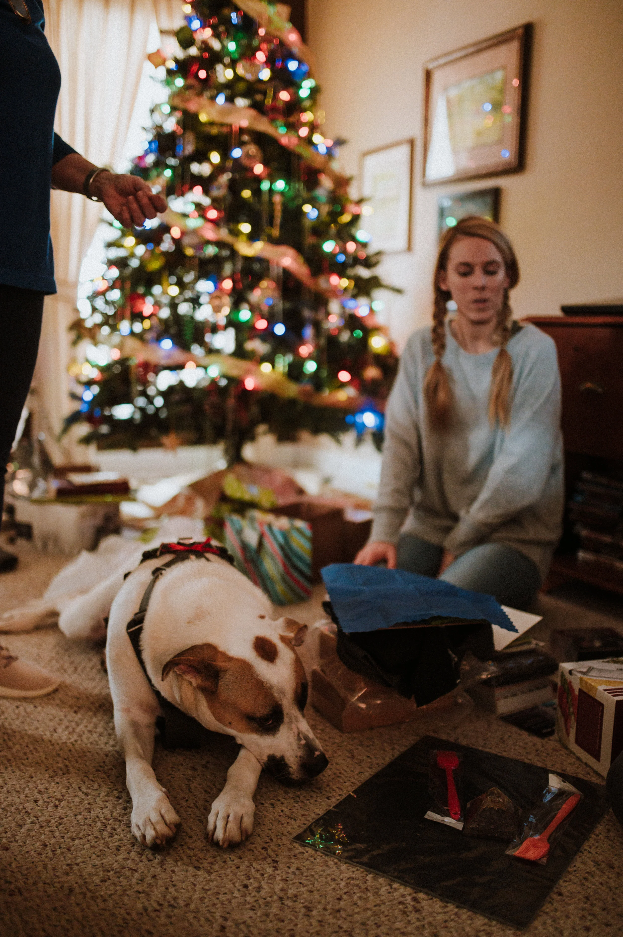 ApkePhotography_Christmas_2018_32.jpg