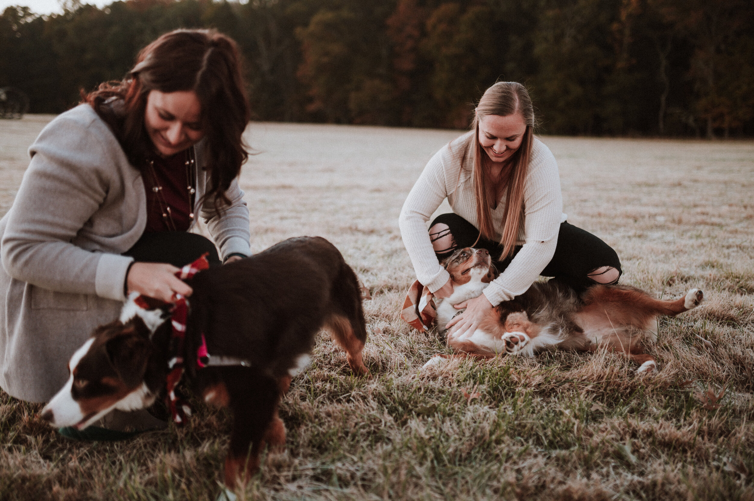  Same sex couple session with dogs. Photographer for dogs Lovers 