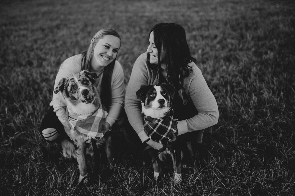  Same sex couple session with dogs. Photographer for dogs Lovers 