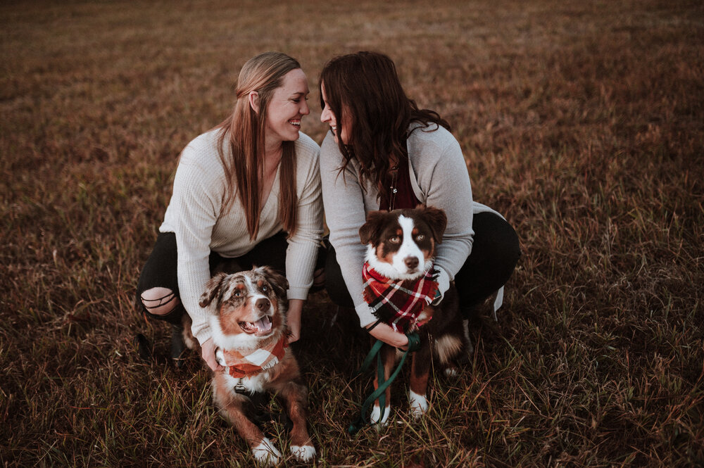  Same sex couple session with dogs. Photographer for dogs Lovers 