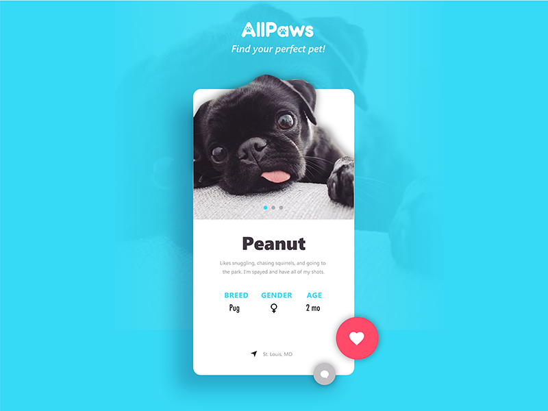 006: User Profile