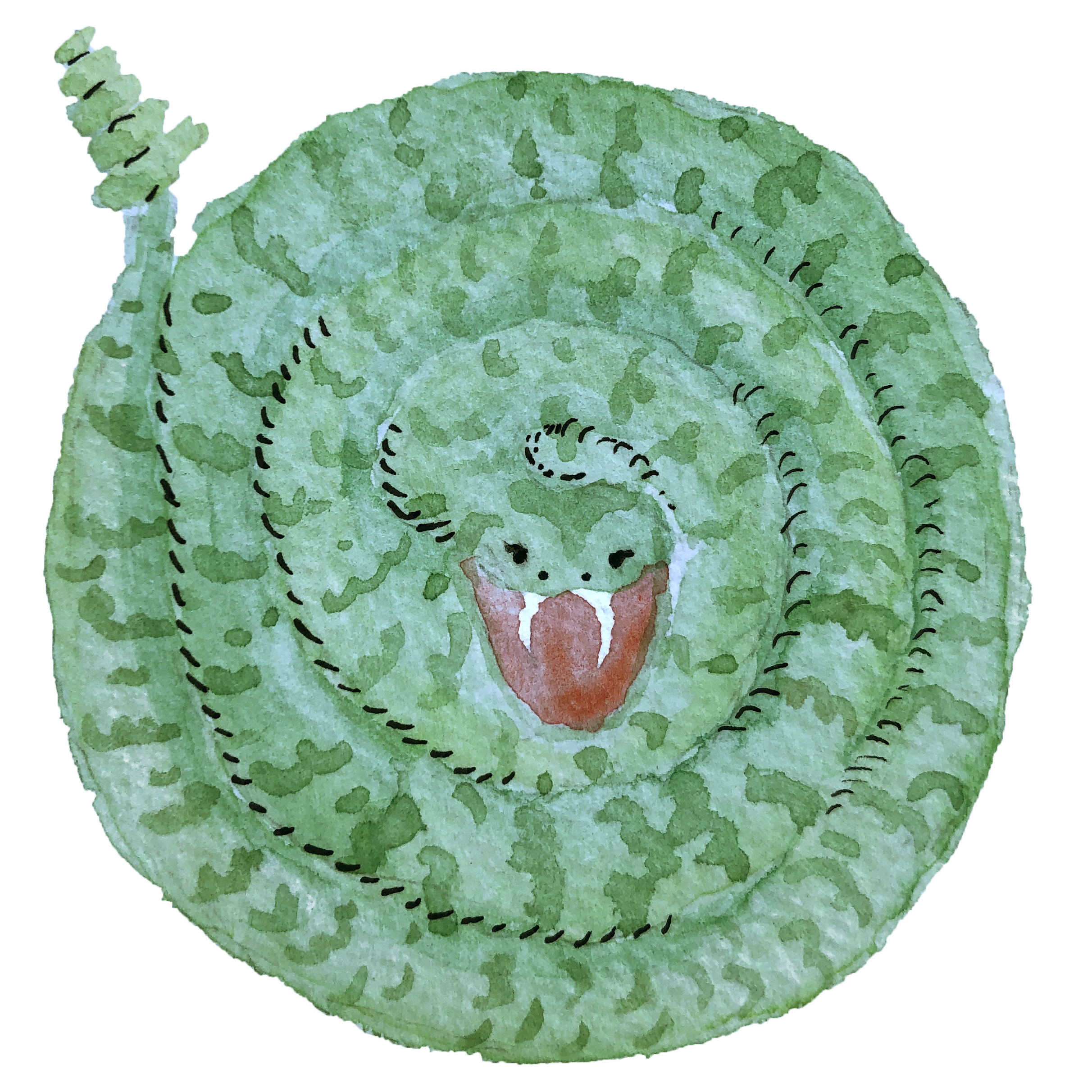 gorgons.png