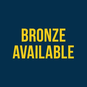 Sponsors+Placeholder+-+Bronze.jpeg