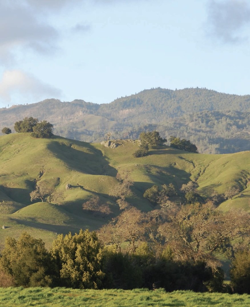 Image 3.jpg