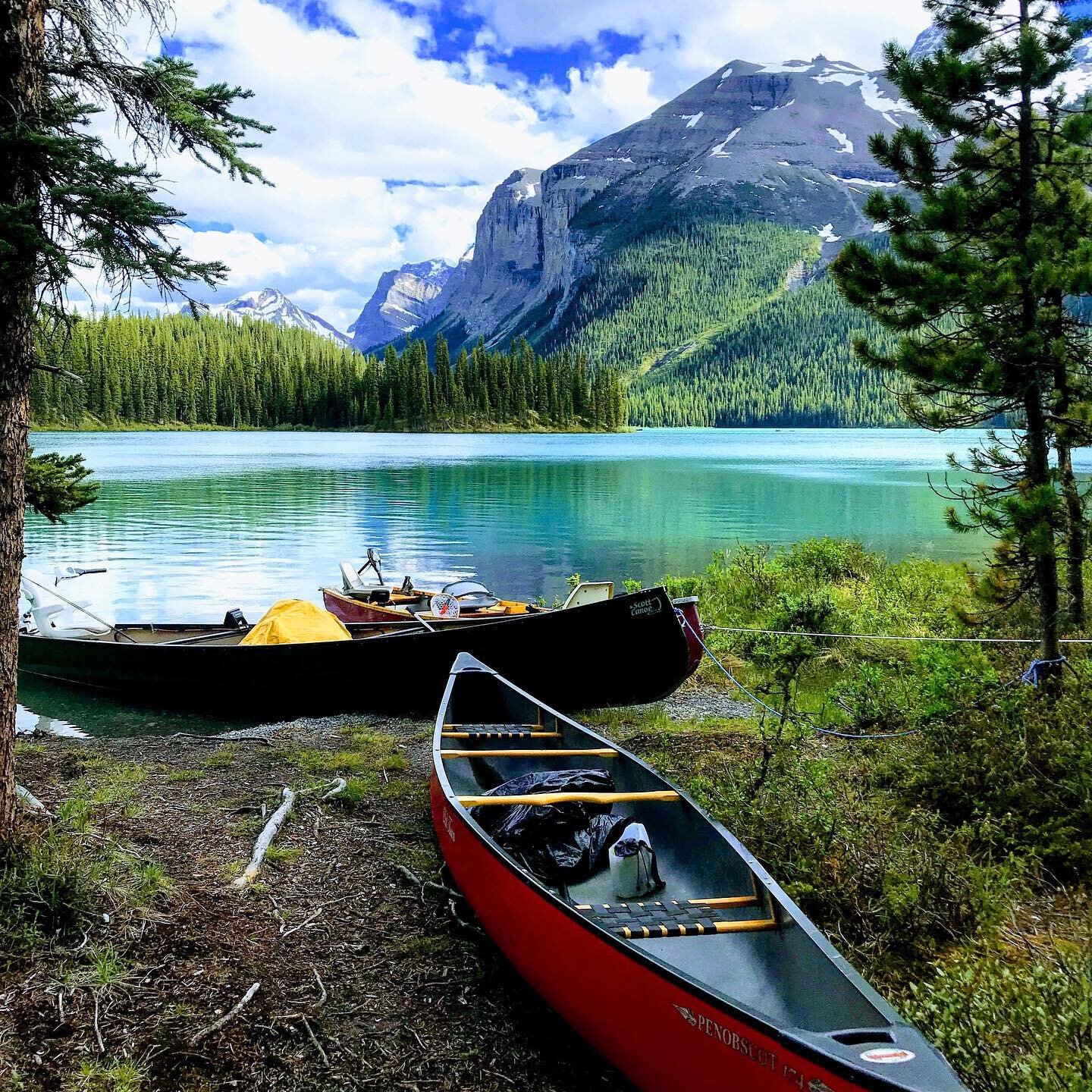 Why not add a boat excursion to your Jasper plans? Book your stay with the option of added boat rentals. With to-go lunches available for your day out on the water.