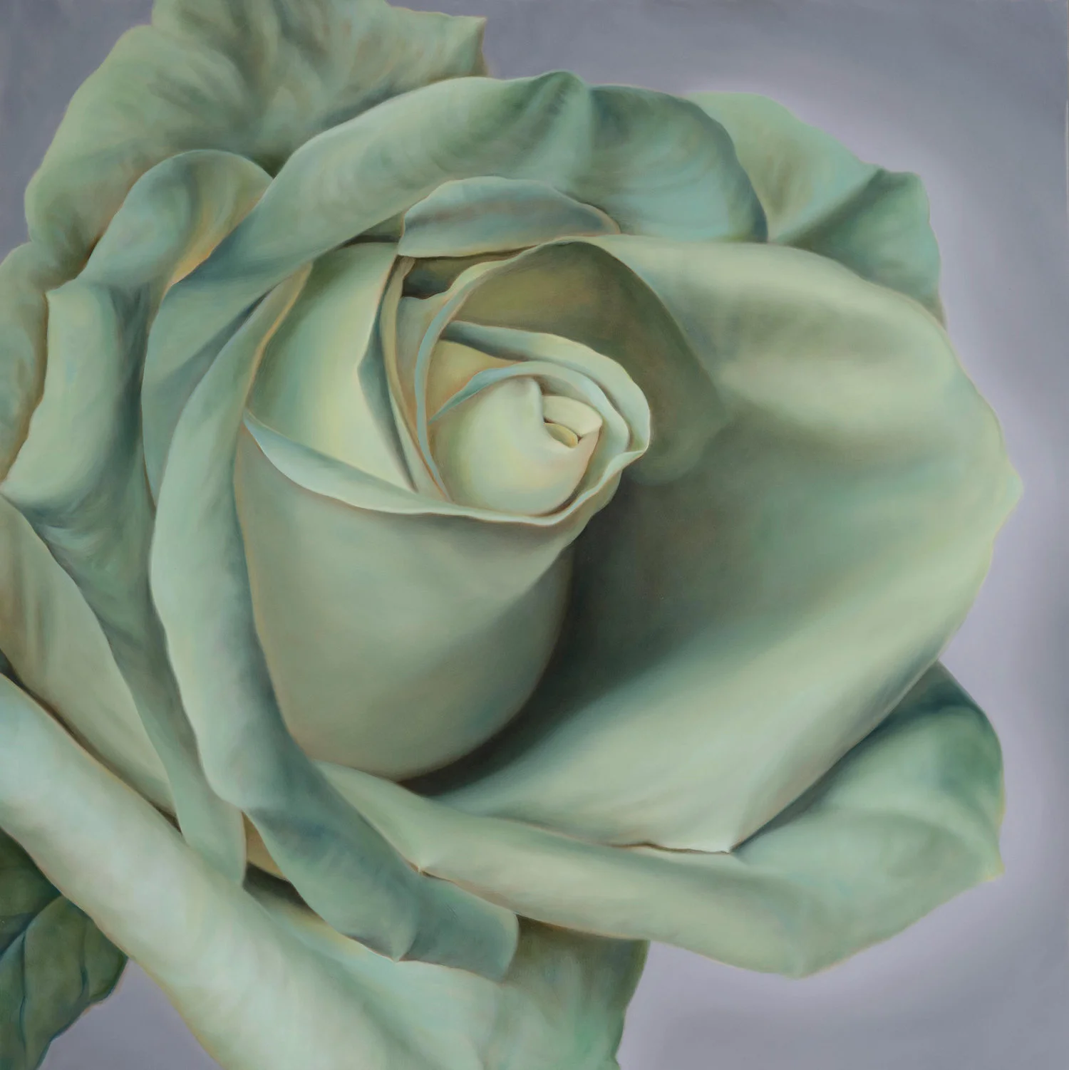 Tinted Rose