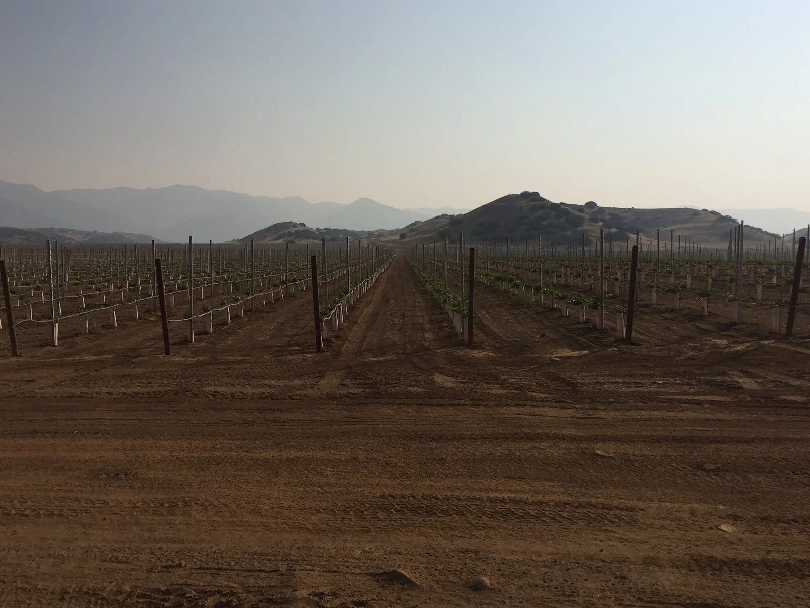 Cuyama Water Census