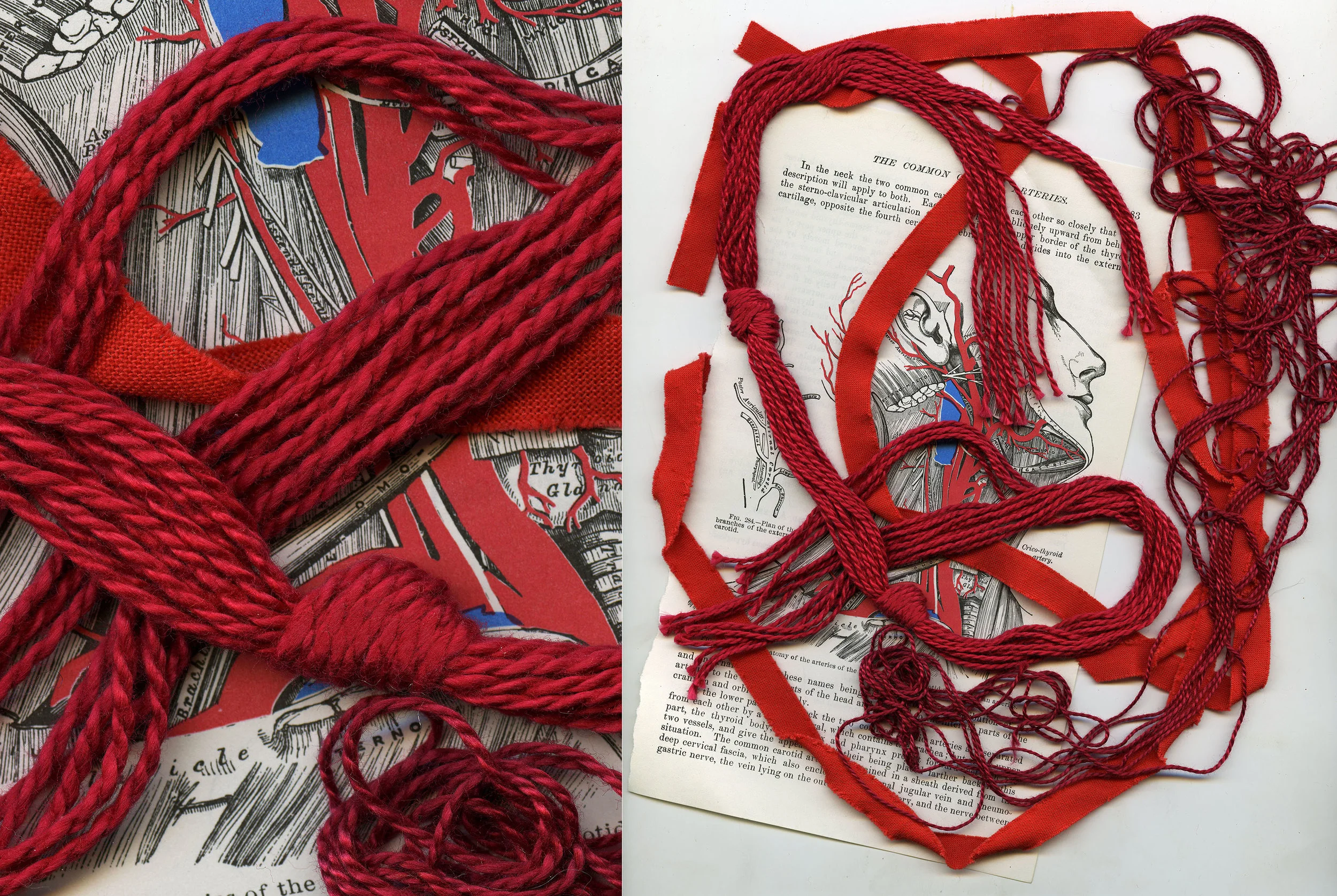 Carotid Arteries: Perceptions of Love // Perceptions of Sex (2016)