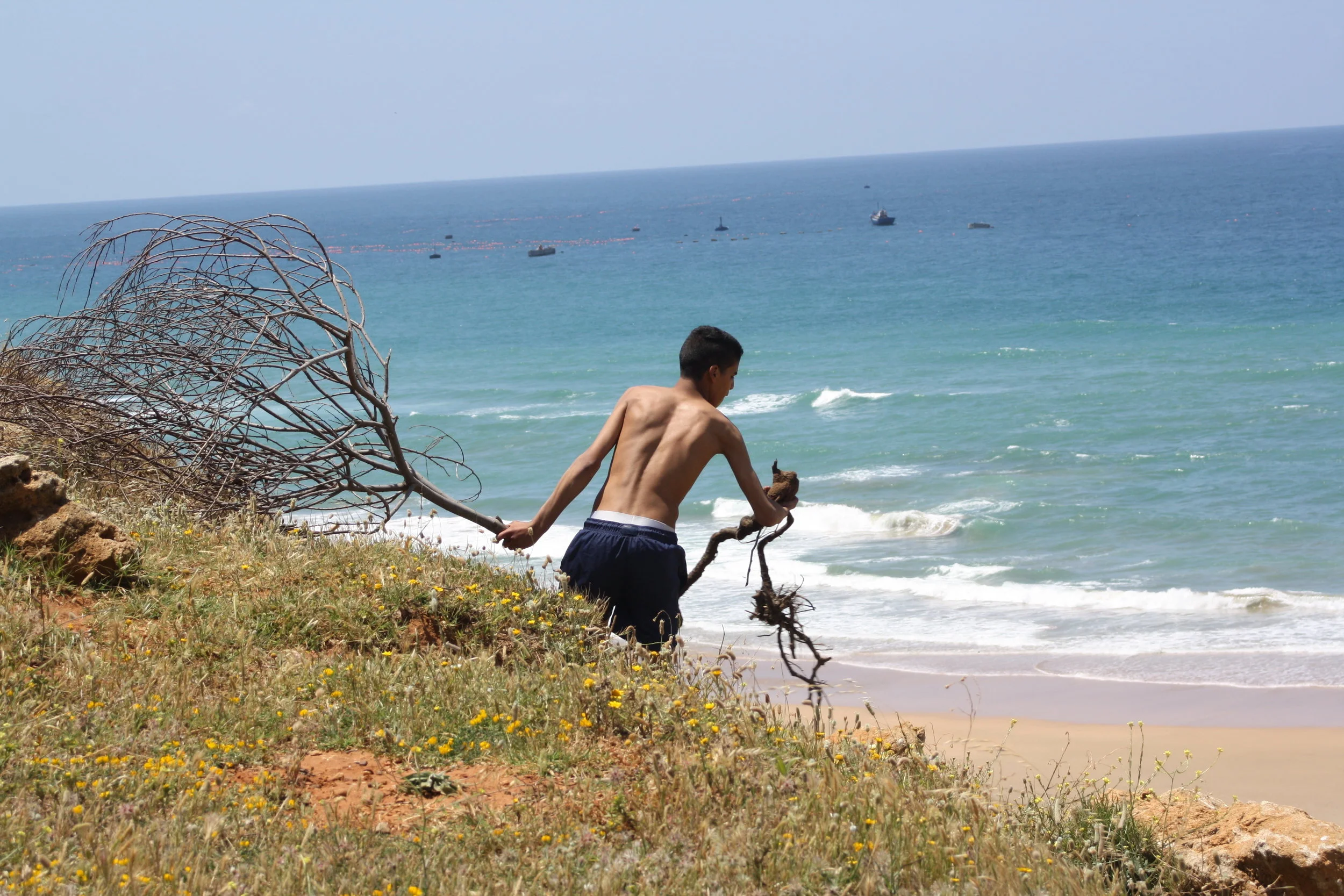  (2016) Tangier, Morocco&nbsp; Digital&nbsp; 