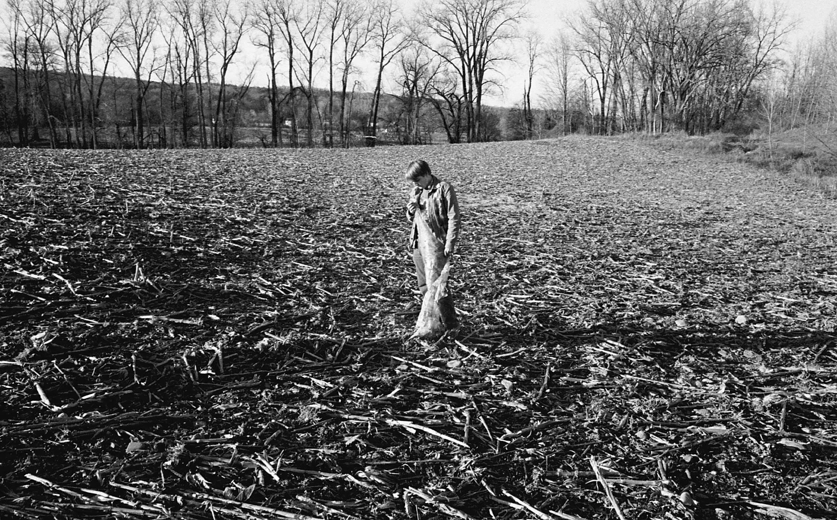 Slash and Burn (2016)