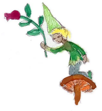 fairy.jpg
