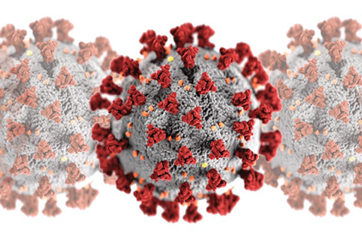 Virtual visits and telehealth in the covid-19 environment