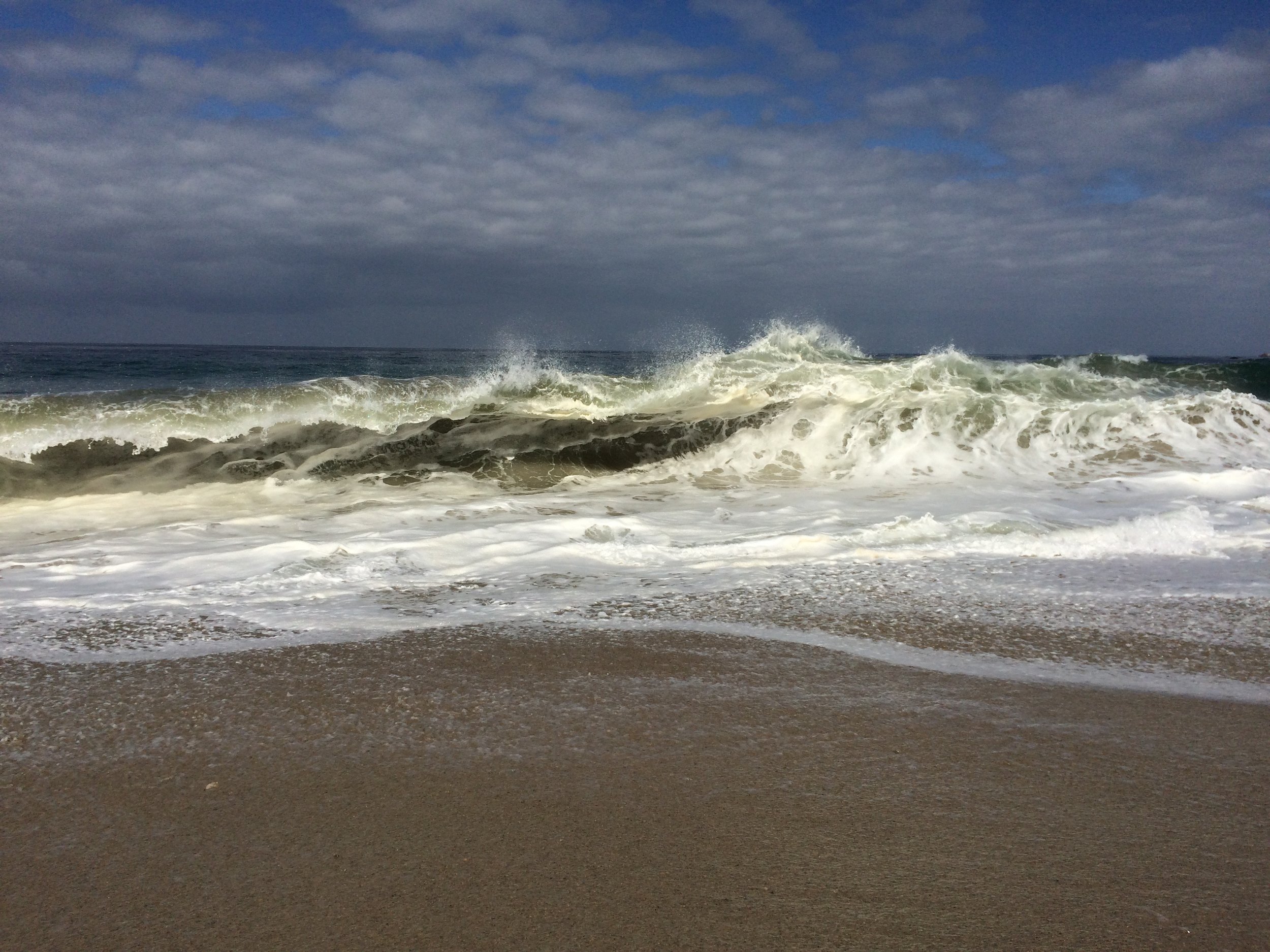 IMG_7326.jpg