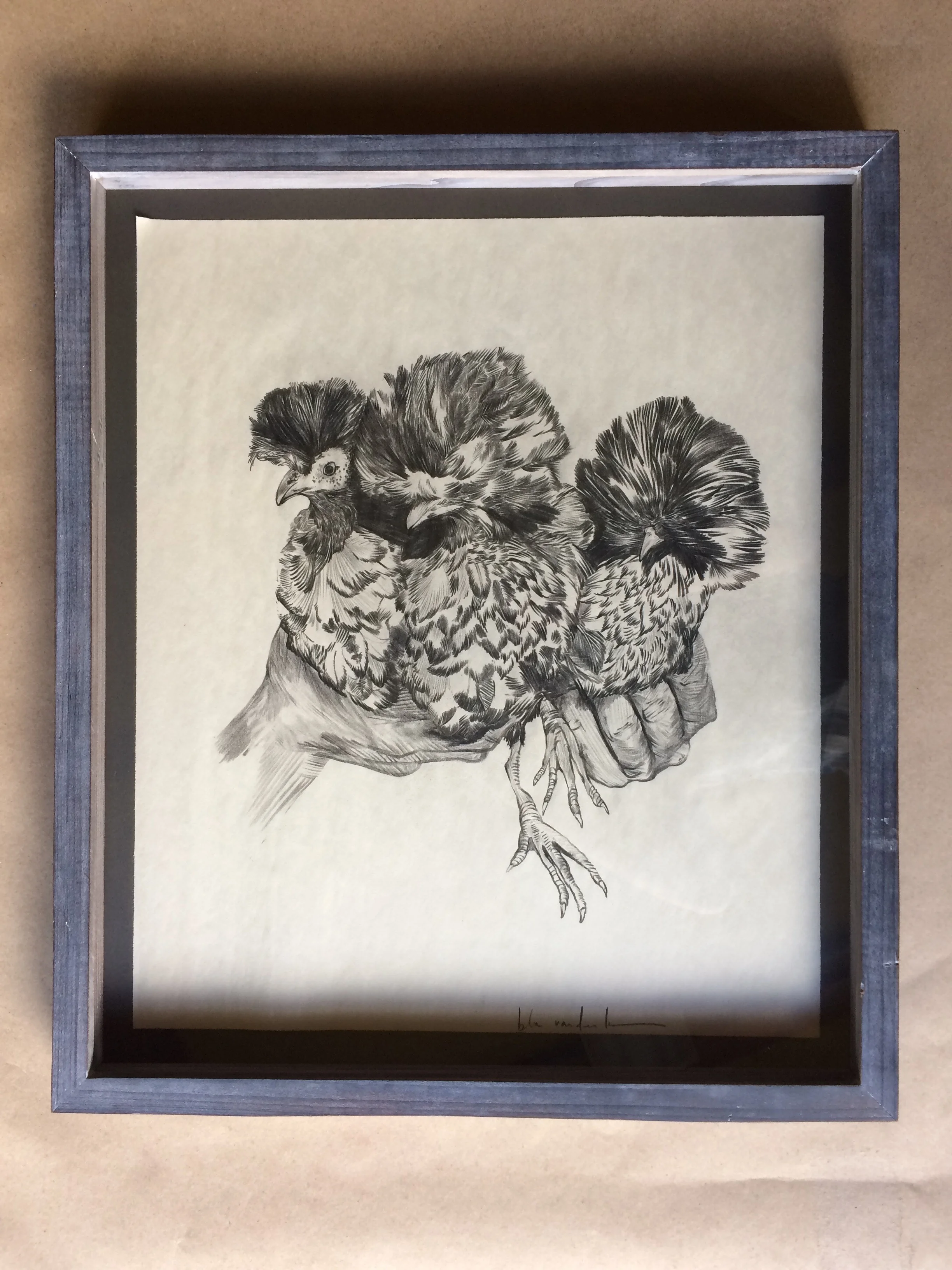 pencil on paper ( 16 x 20 inches unframed) hand built lime-washed redwood frame SOLD