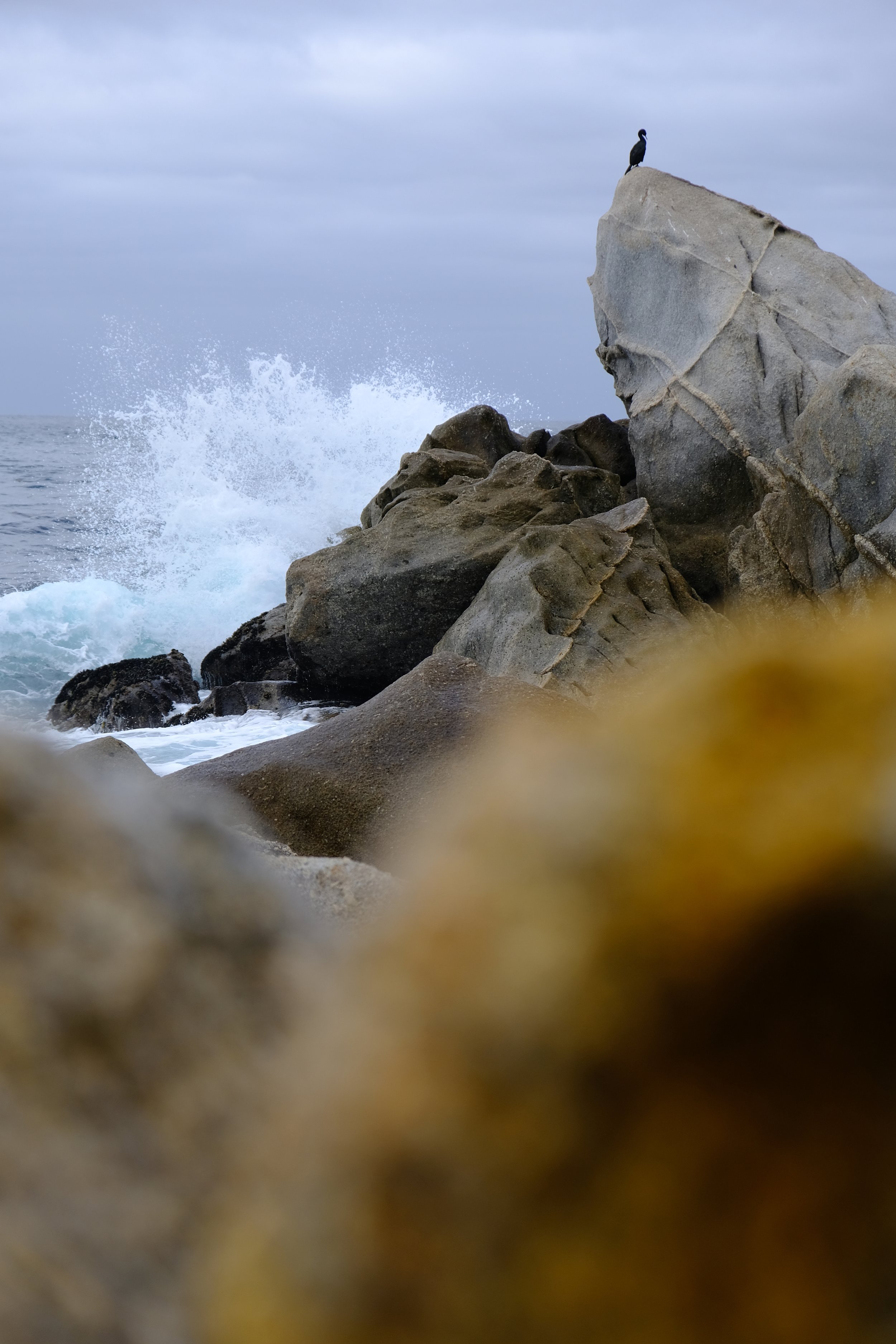DSCF3028.JPG