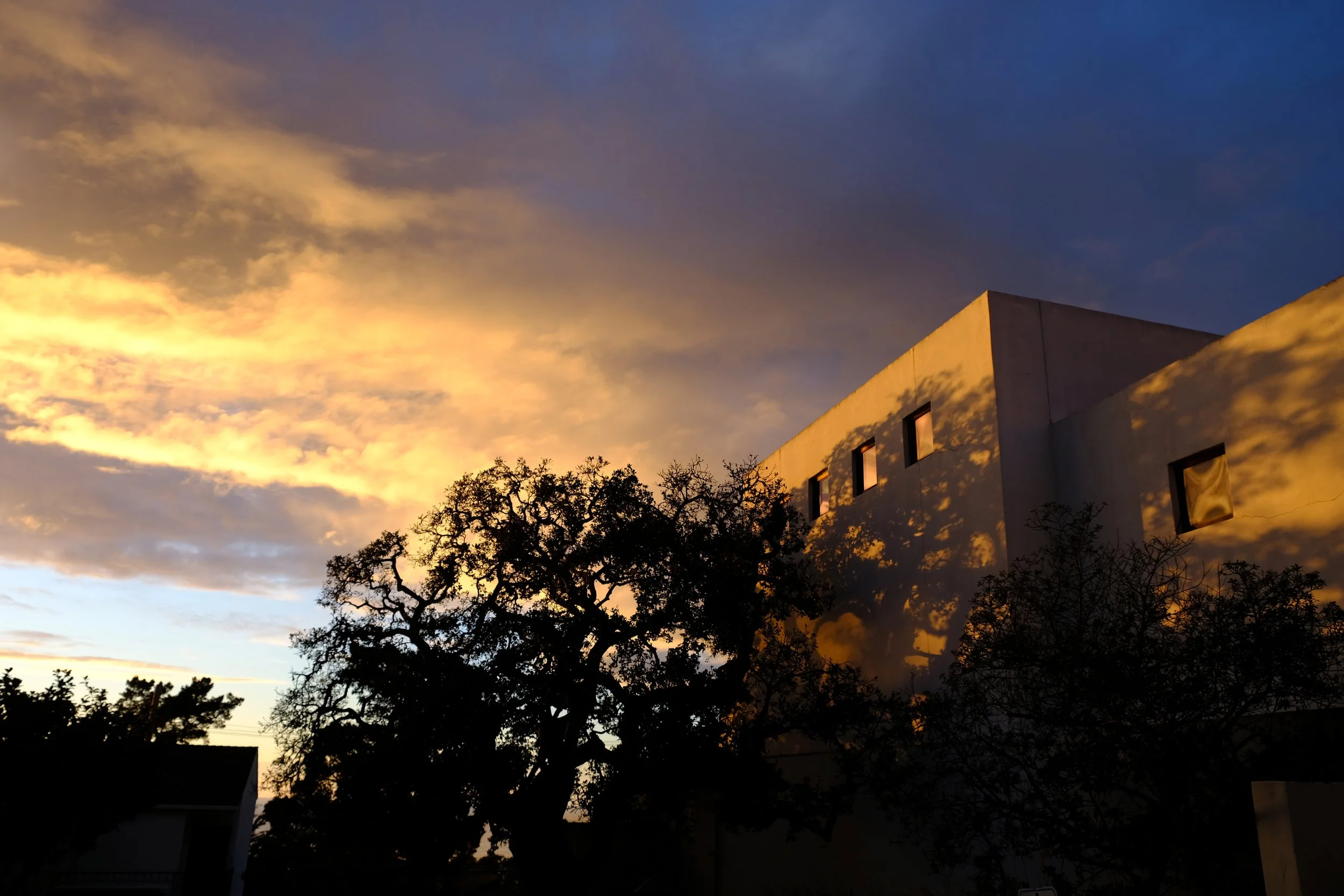 DSCF2822.JPG
