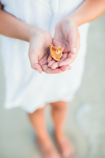 family-destination-wedding-photographer-30a-panama-city-beach-charleston-nyc-desiree-gardner-photography-weddings-family-engagement-photos--16.jpg