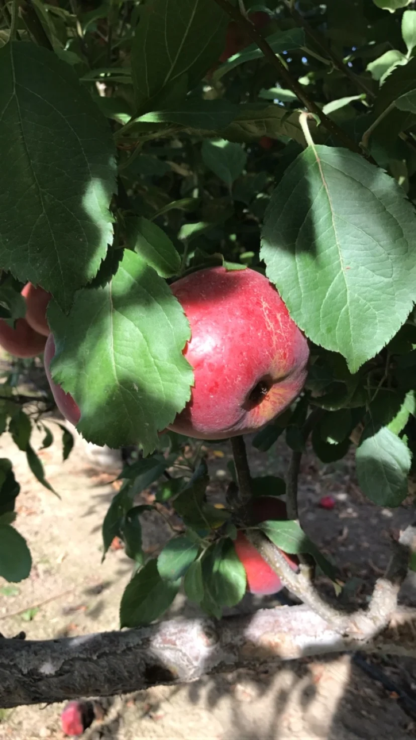 Making memories at Greenbluff