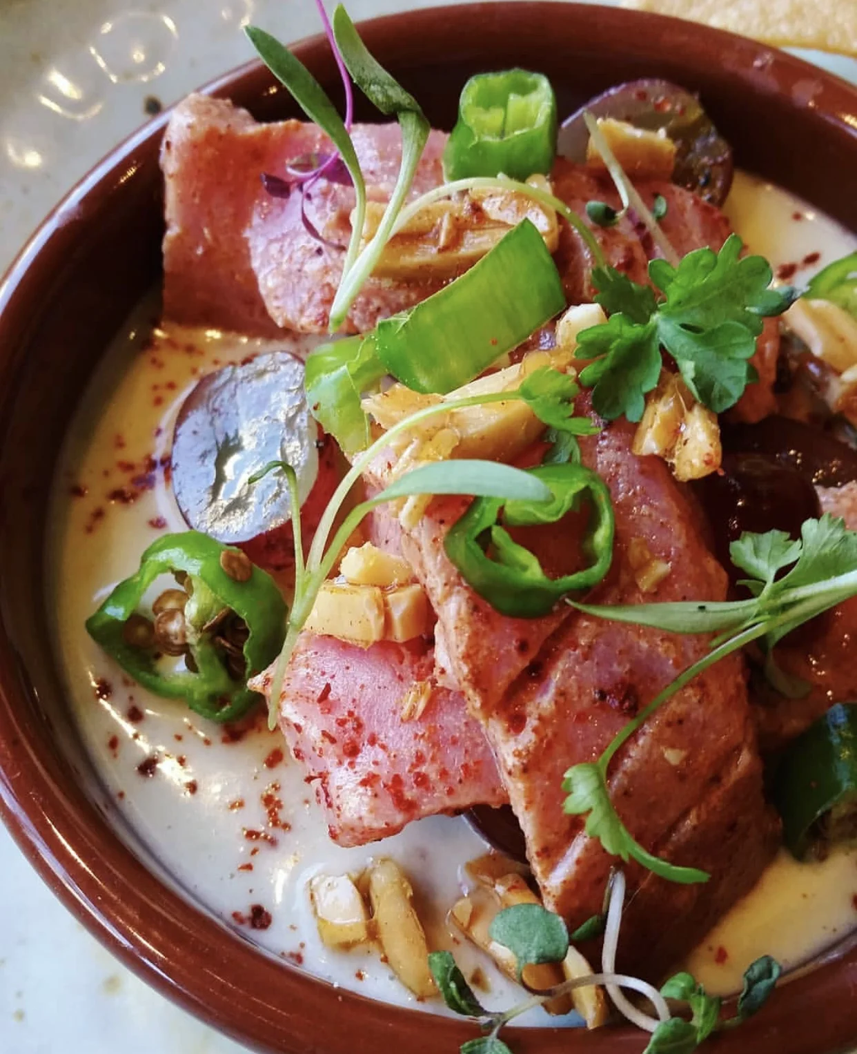 3 Cheers for Cochinito 