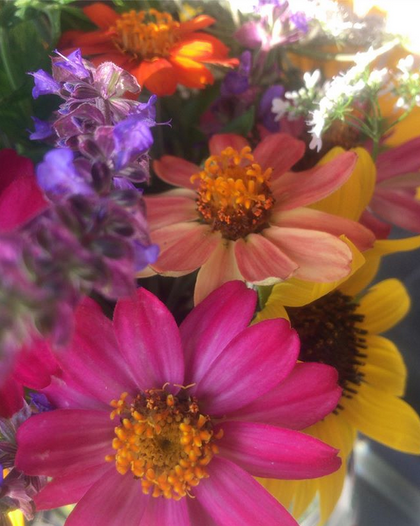 Gardening in the PNW 