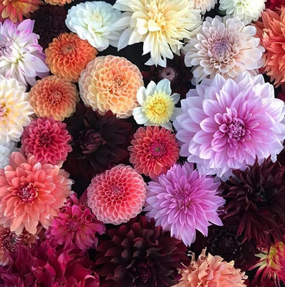 Mother's Day Gifting Guide 