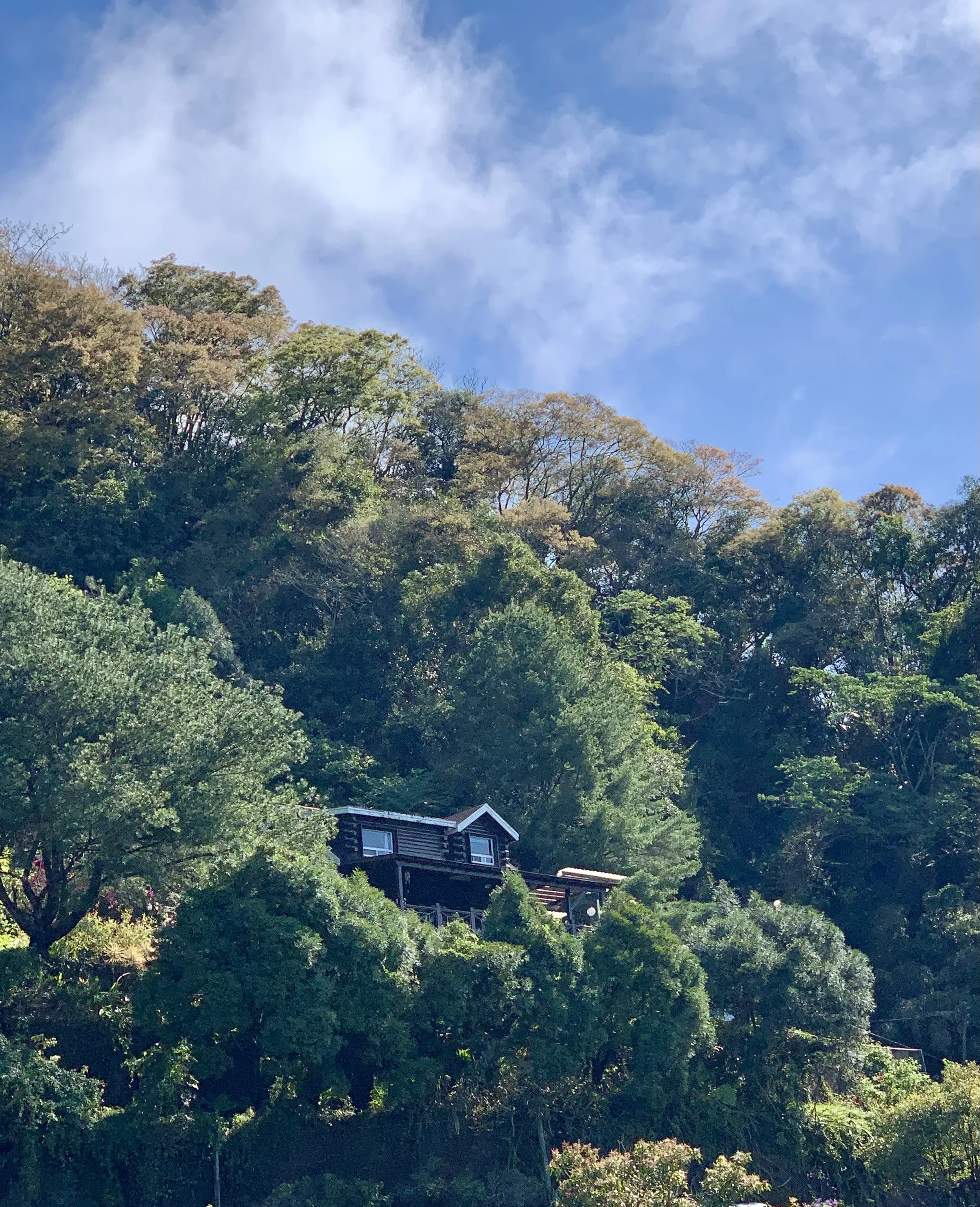 半山抱雲 | 結廬山水夢