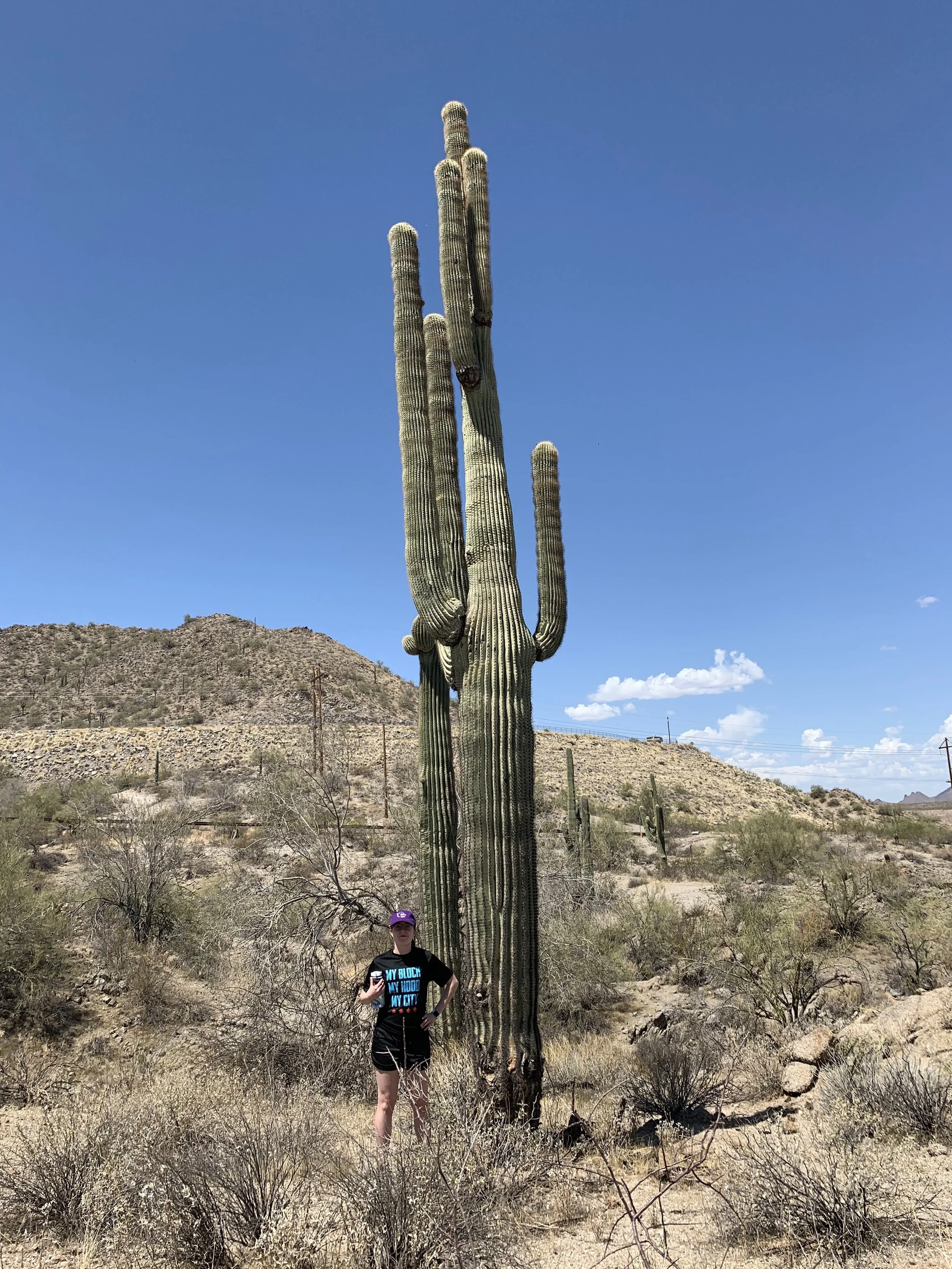 Born & raised in Arizona