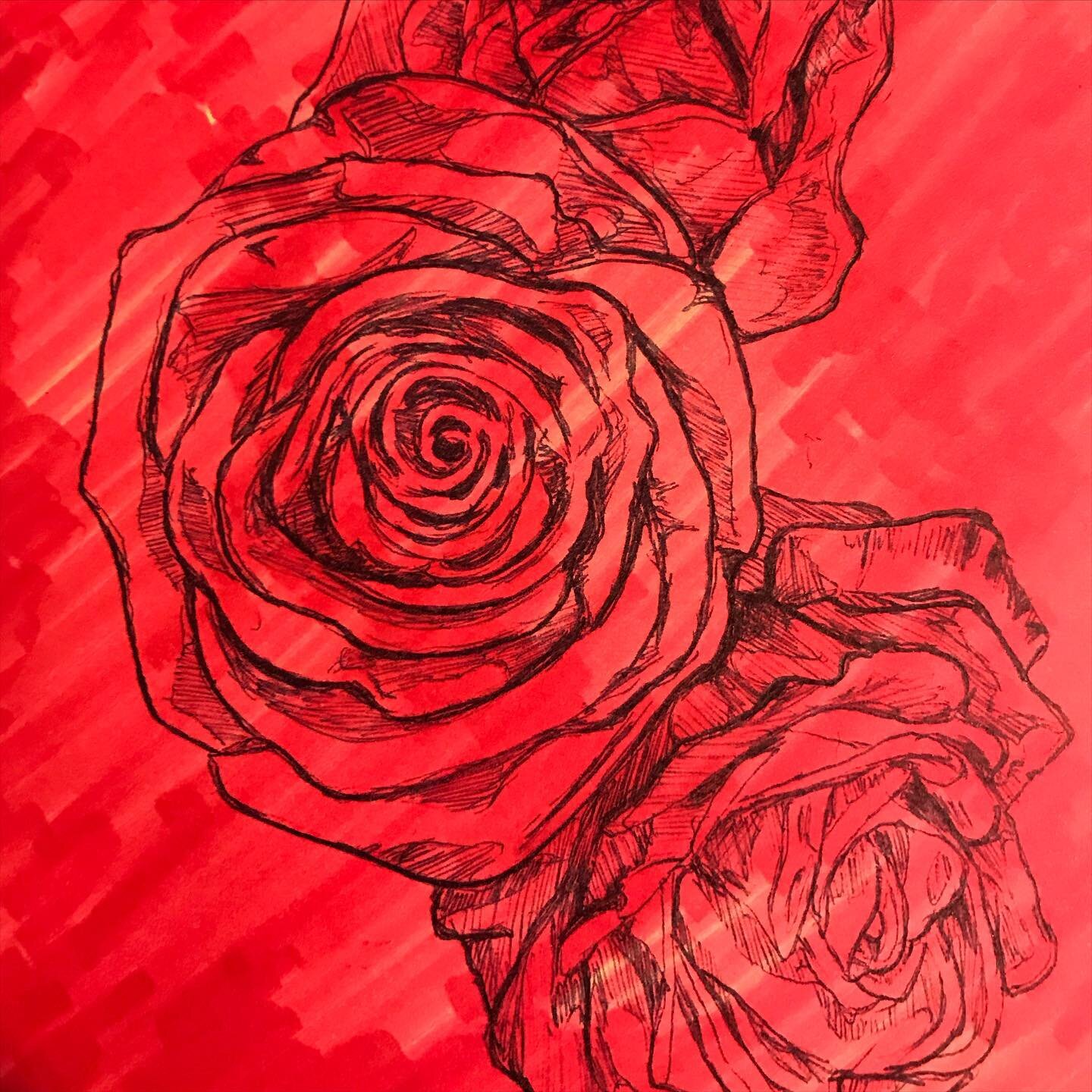 Rose study because I&rsquo;m pandemic anxious and can&rsquo;t figure out what to do to calm myself down 🤪