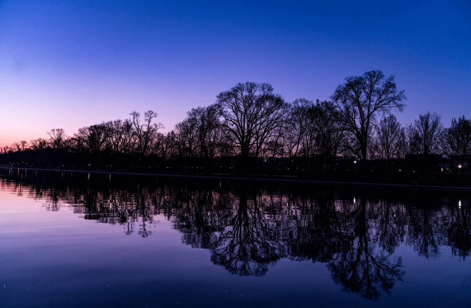 gallery sale-6487.JPG