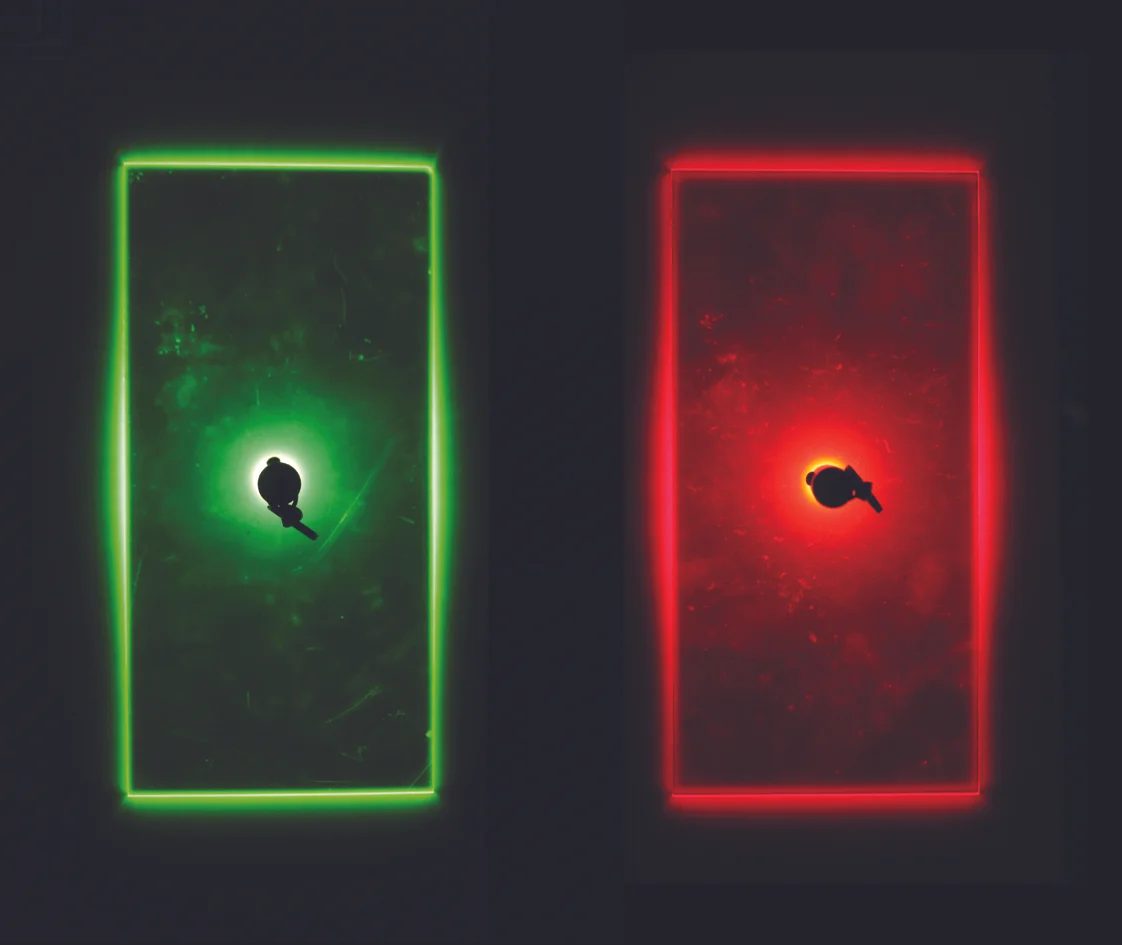 red_green_light_exp-.jpg