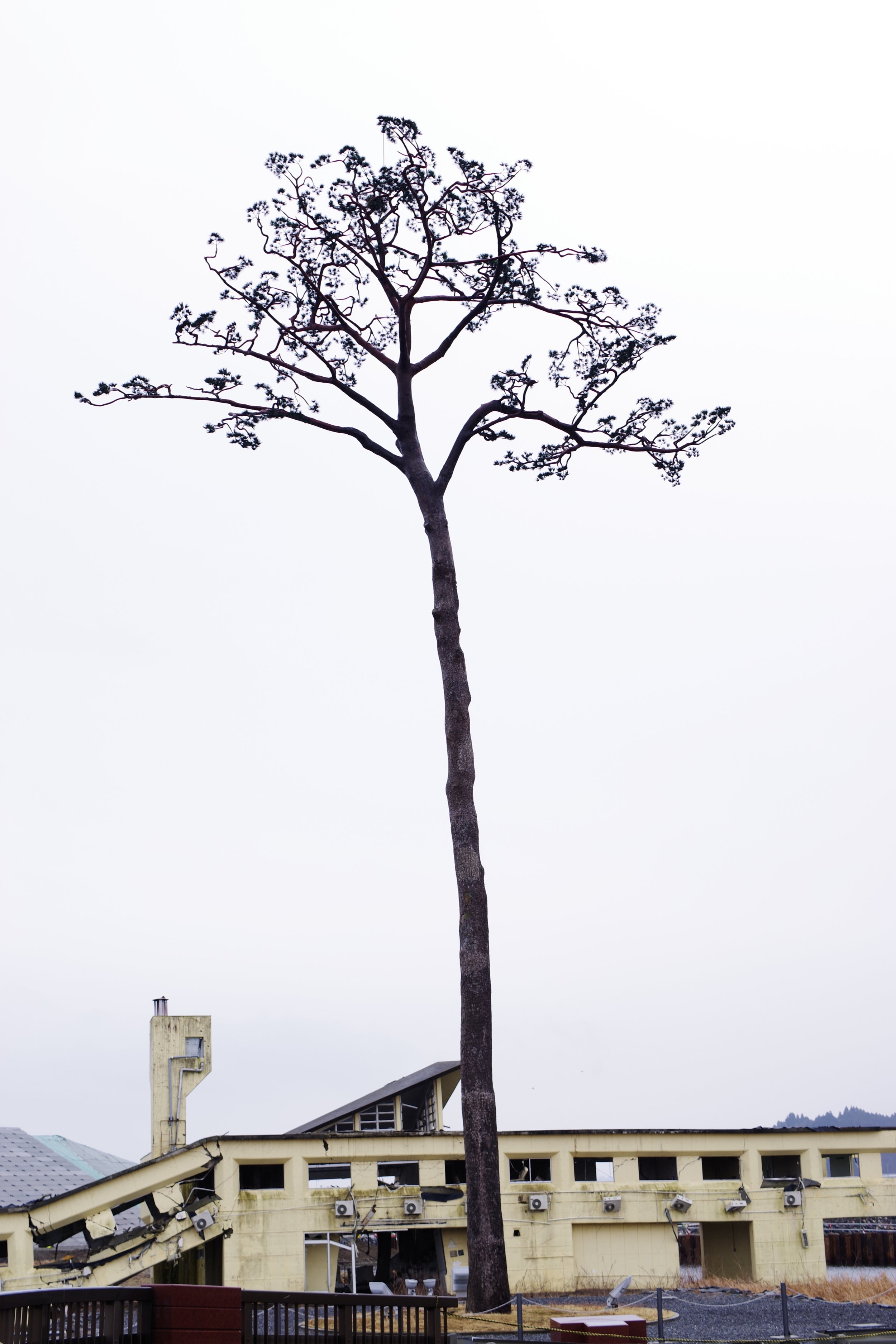 IMGP0904.JPG